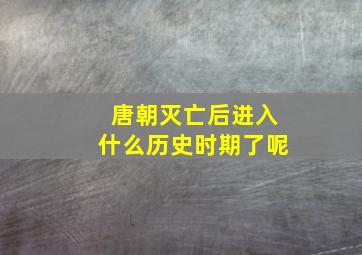 唐朝灭亡后进入什么历史时期了呢