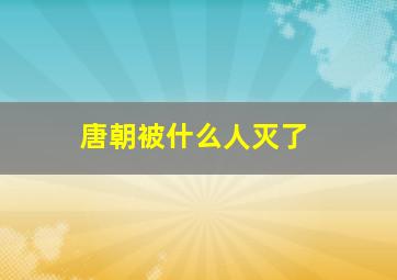 唐朝被什么人灭了