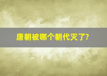 唐朝被哪个朝代灭了?