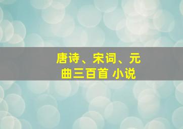 唐诗、宋词、元曲三百首 小说