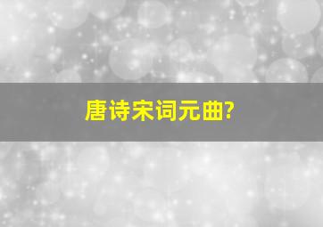 唐诗宋词元曲?