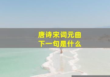 唐诗宋词元曲下一句是什么