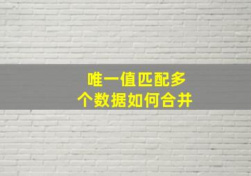 唯一值匹配多个数据如何合并