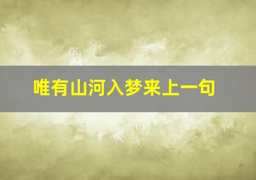 唯有山河入梦来上一句