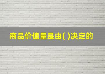 商品价值量是由( )决定的