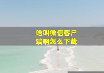 啥叫微信客户端啊怎么下载