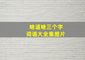 啥道啥三个字词语大全集图片