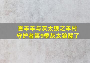 喜羊羊与灰太狼之羊村守护者第9季灰太狼醒了