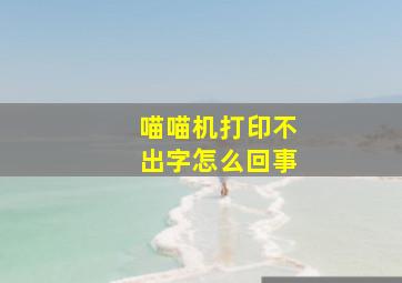 喵喵机打印不出字怎么回事