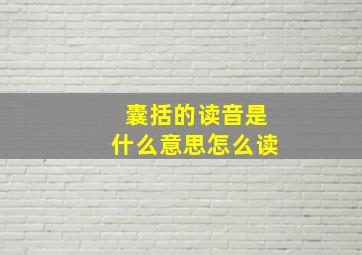 囊括的读音是什么意思怎么读