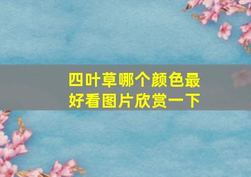 四叶草哪个颜色最好看图片欣赏一下