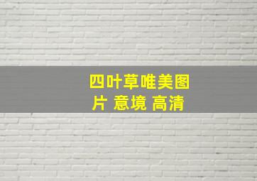 四叶草唯美图片 意境 高清