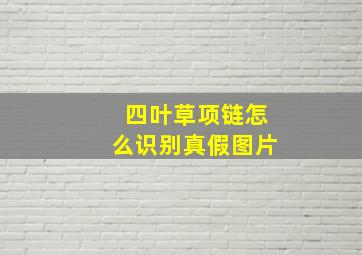 四叶草项链怎么识别真假图片