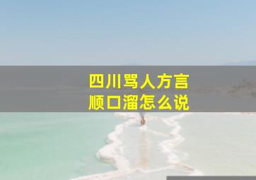 四川骂人方言顺口溜怎么说