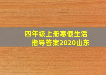 四年级上册寒假生活指导答案2020山东