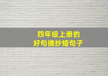 四年级上册的好句摘抄短句子