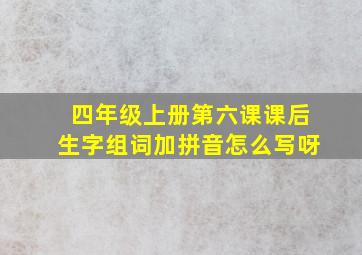 四年级上册第六课课后生字组词加拼音怎么写呀