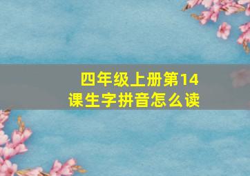 四年级上册第14课生字拼音怎么读