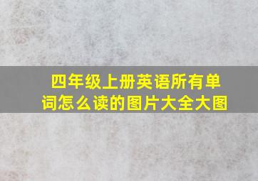 四年级上册英语所有单词怎么读的图片大全大图