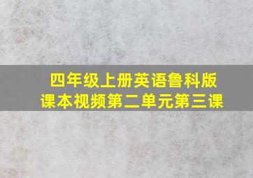 四年级上册英语鲁科版课本视频第二单元第三课