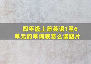 四年级上册英语1至6单元的单词表怎么读图片