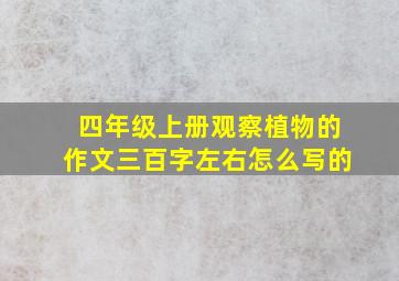 四年级上册观察植物的作文三百字左右怎么写的