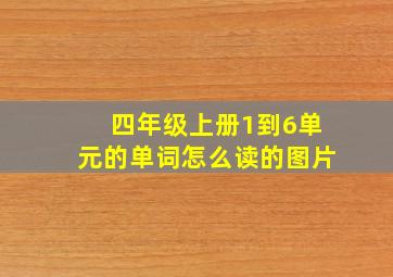 四年级上册1到6单元的单词怎么读的图片