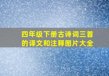 四年级下册古诗词三首的译文和注释图片大全