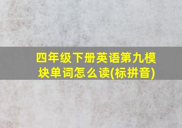 四年级下册英语第九模块单词怎么读(标拼音)