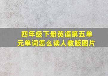 四年级下册英语第五单元单词怎么读人教版图片