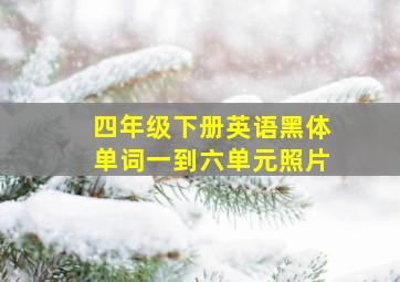 四年级下册英语黑体单词一到六单元照片