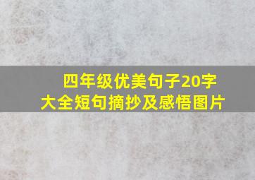 四年级优美句子20字大全短句摘抄及感悟图片