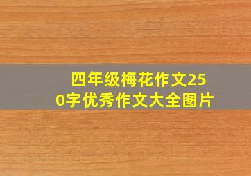 四年级梅花作文250字优秀作文大全图片