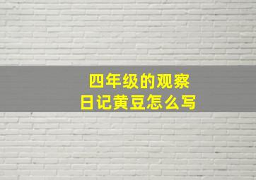 四年级的观察日记黄豆怎么写