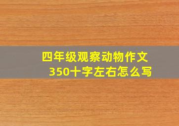 四年级观察动物作文350十字左右怎么写