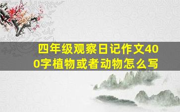 四年级观察日记作文400字植物或者动物怎么写