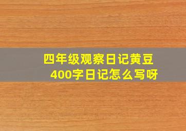 四年级观察日记黄豆400字日记怎么写呀