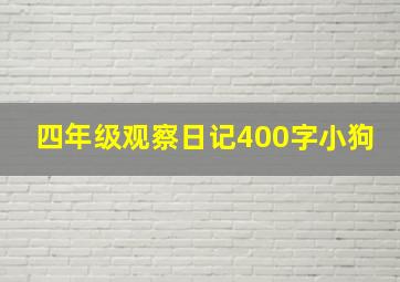 四年级观察日记400字小狗