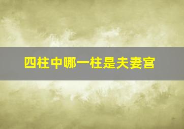 四柱中哪一柱是夫妻宫