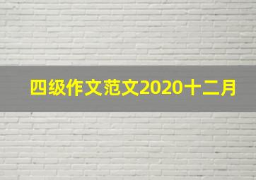 四级作文范文2020十二月