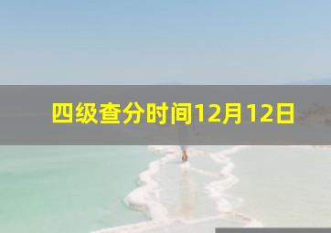 四级查分时间12月12日