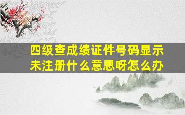 四级查成绩证件号码显示未注册什么意思呀怎么办