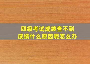 四级考试成绩查不到成绩什么原因呢怎么办