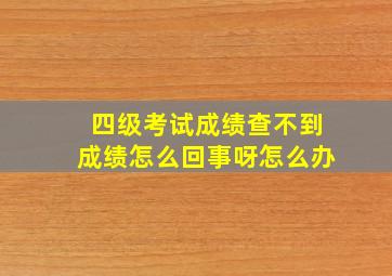 四级考试成绩查不到成绩怎么回事呀怎么办