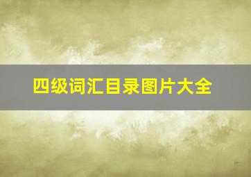 四级词汇目录图片大全