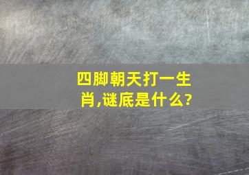 四脚朝天打一生肖,谜底是什么?