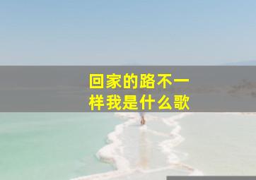 回家的路不一样我是什么歌