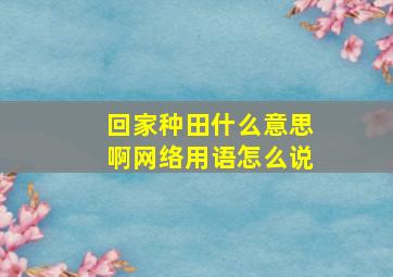 回家种田什么意思啊网络用语怎么说