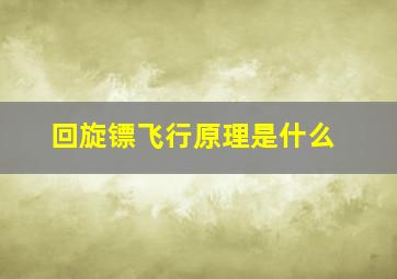 回旋镖飞行原理是什么