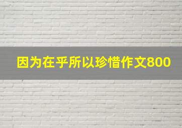 因为在乎所以珍惜作文800